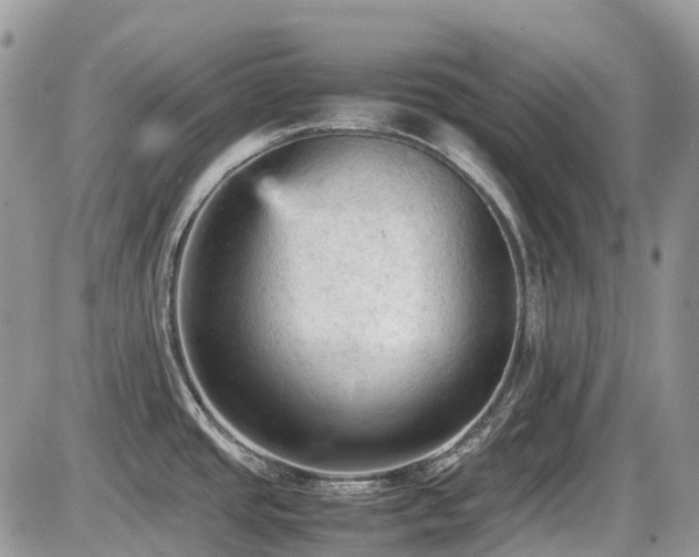 X0000086031437200703231200