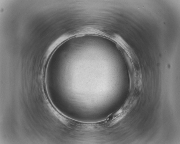X0000086031438200703231200