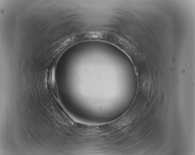 X0000086031442200703231159