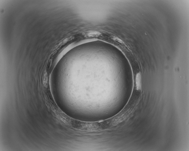 X0000086031443200703231159