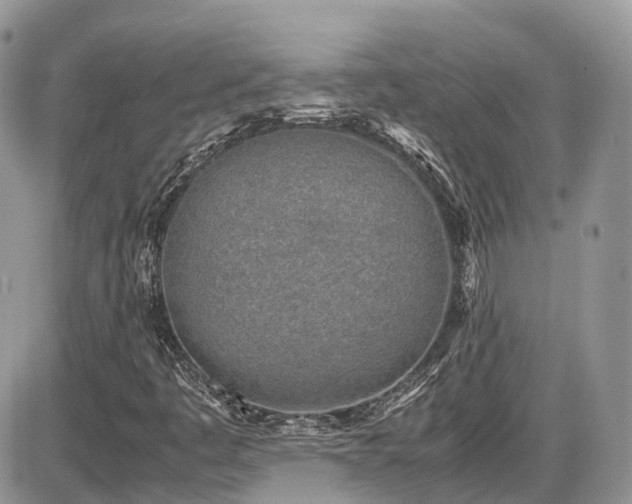 X0000086031445200703231159