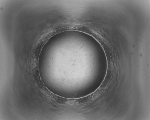 X0000086031447200703231159