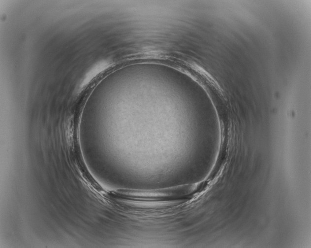 X0000086031450200703231159
