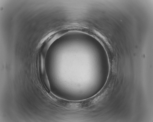 X0000086031453200703231159