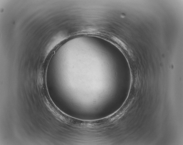 X0000086031458200703231159