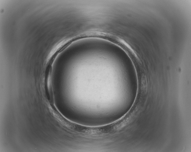 X0000086031461200703231159