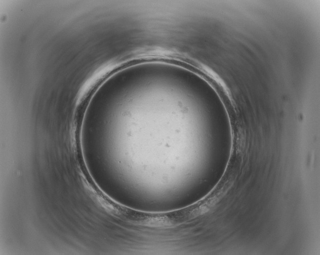 X0000086031464200703231159