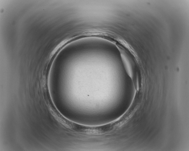 X0000086031465200703231159