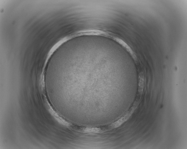 X0000086031466200703231159