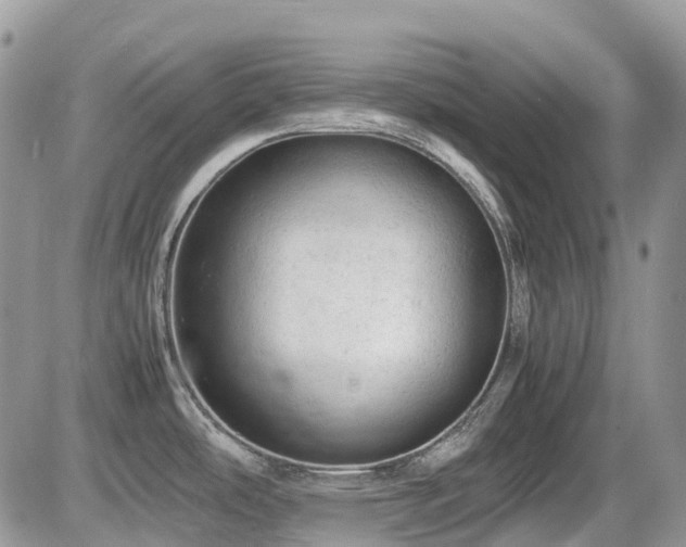 X0000086031486200703231159