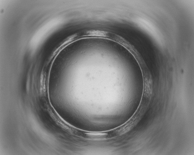 X0000086031487200703231159