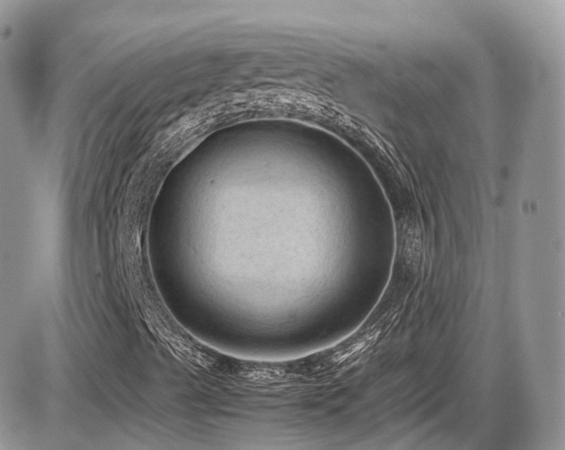 X0000086031489200703231158