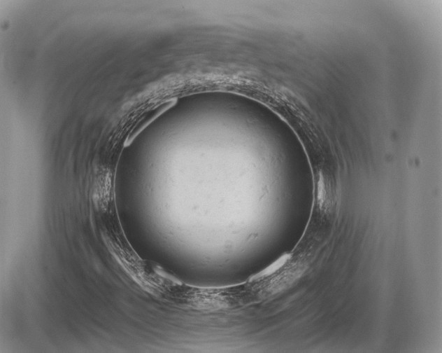 X0000086031492200703231158