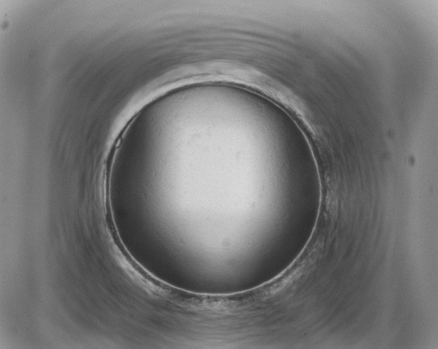 X0000086031516200703231158