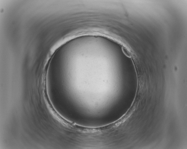 X0000086031526200703231158