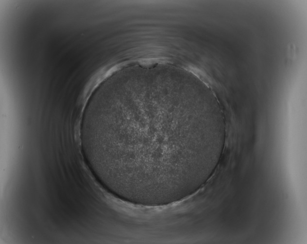 X0000086030002200703301104