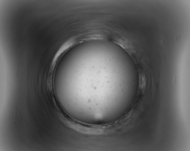 X0000086030004200703301104