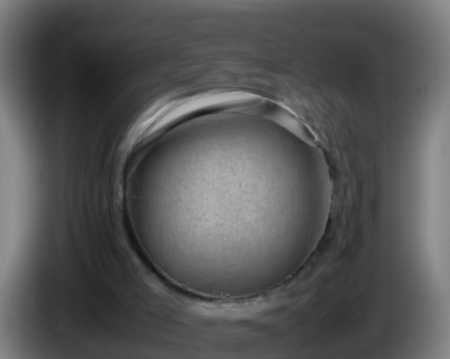 X0000086030005200703301104