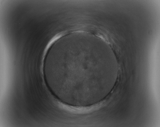 X0000086030006200703301104