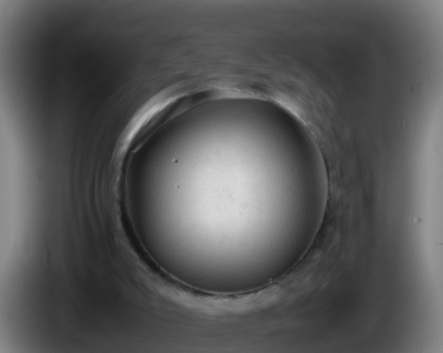 X0000086030007200703301104