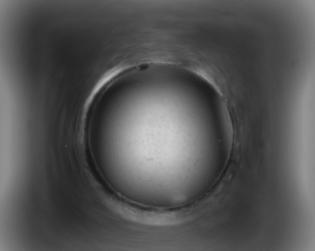 X0000086030008200703301104