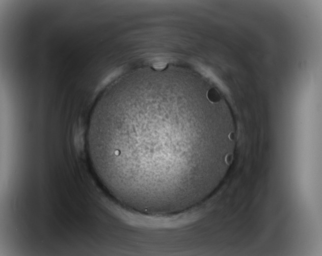 X0000086030010200703301104