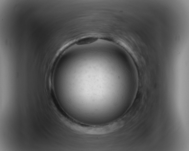 X0000086030011200703301104