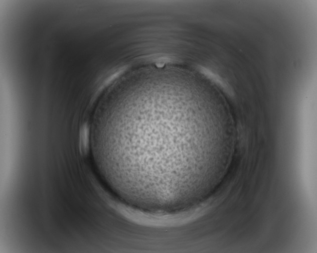 X0000086030014200703301104