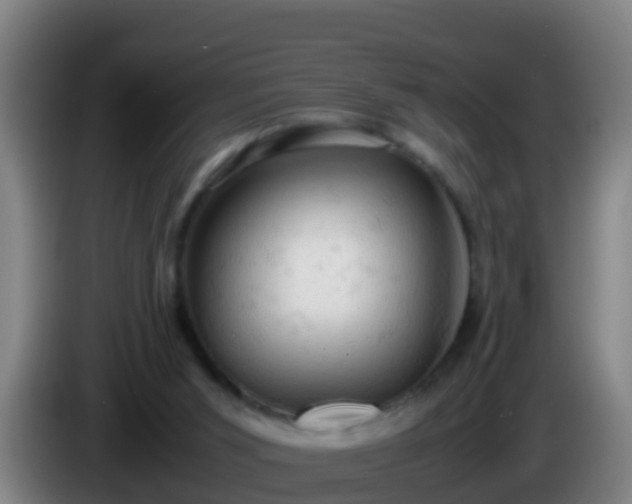 X0000086030015200703301104