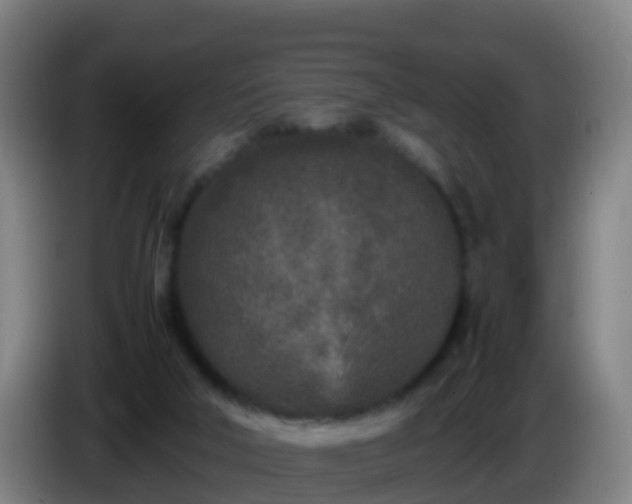 X0000086030018200703301104