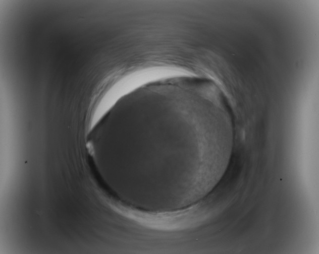 X0000086030019200703301104