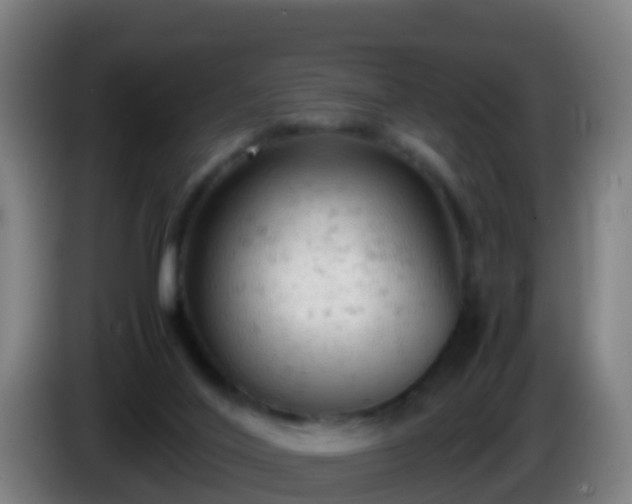 X0000086030020200703301104