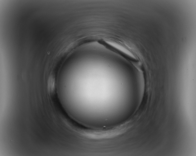 X0000086030021200703301104