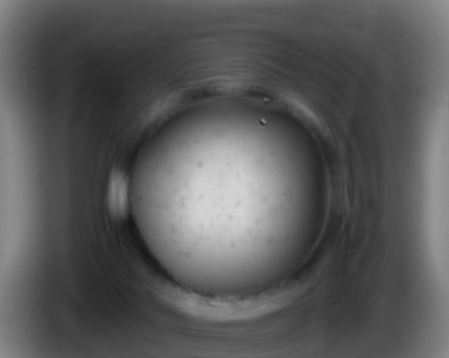 X0000086030022200703301104