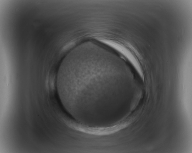 X0000086030023200703301104