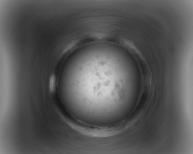 X0000086030024200703301104