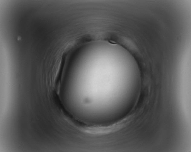 X0000086030025200703301104