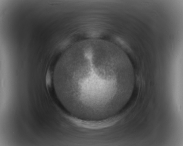 X0000086030026200703301104