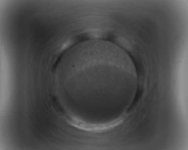 X0000086030027200703301104