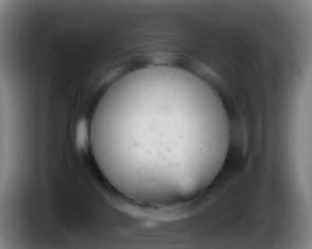 X0000086030028200703301104