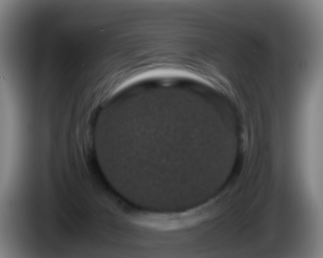 X0000086030029200703301104