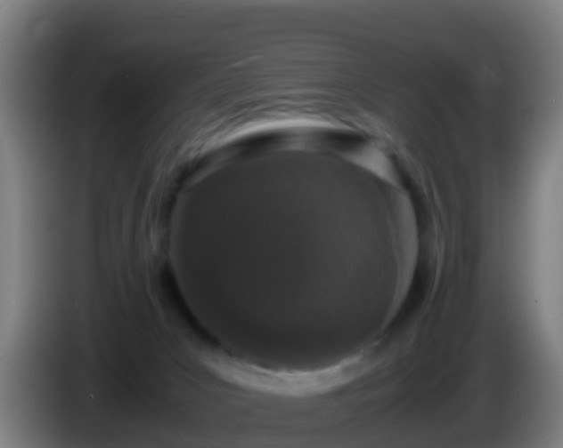 X0000086030031200703301104