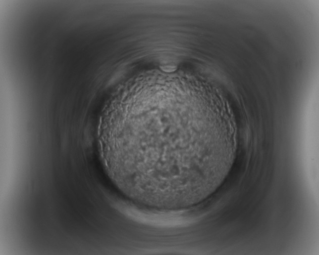 X0000086030032200703301104