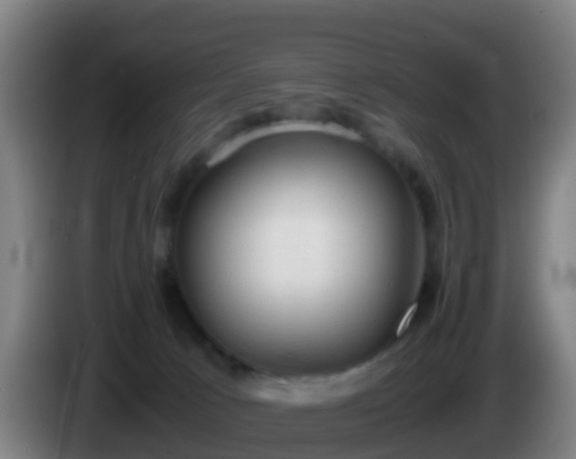 X0000086030033200703301104