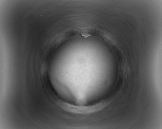 X0000086030034200703301104