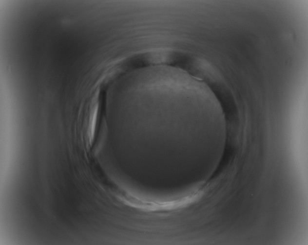 X0000086030035200703301104