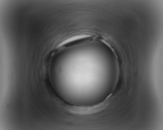 X0000086030037200703301104