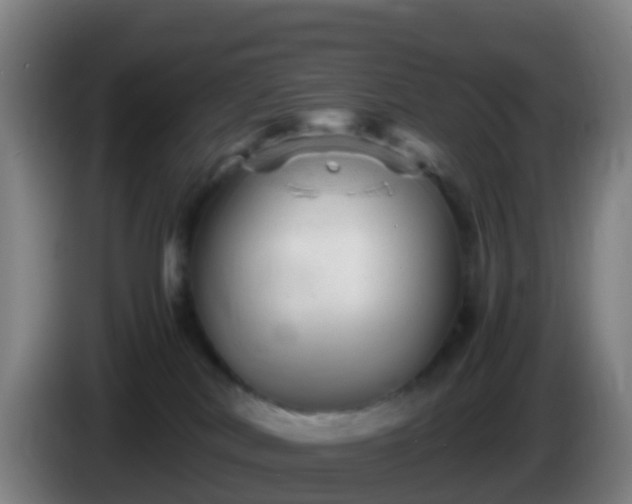 X0000086030038200703301104