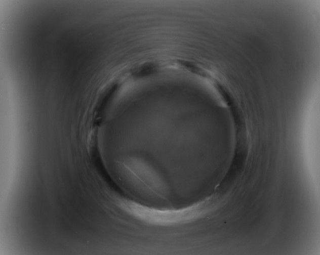 X0000086030039200703301104