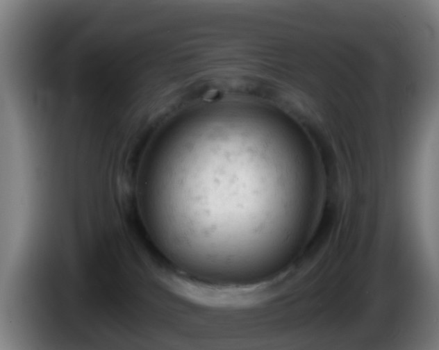 X0000086030040200703301104